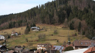 Schwarzwaldhotel-Gasthof Hirsch, фото 2