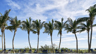 Carillon Miami Wellness Resort, фото 4
