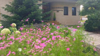 Landhotel Hubertus