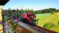Landhotel Talblick, фото 3