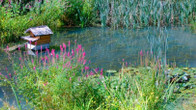 Romantik Hotel Jagdhaus Waldidyll, фото 2