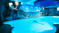 Paradise Hotel & Wellness, фото 9