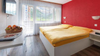 Hotel Elite Täsch, фото 4