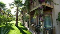 Paloma Oceana, фото 3