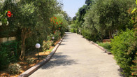 Europa Beach Hotel, фото 4