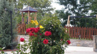 Pelion Resort, фото 3
