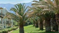 Grecotel Meli Palace - All Inclusive