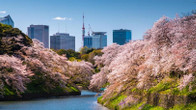 Four Seasons Hotel Tokyo at Marunouchi