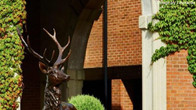 Forest of Arden Marriott Hotel & Country Club