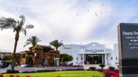 Sharm Dreams Resort, фото 4