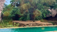 Athreya Ayurveda Ashram, фото 3