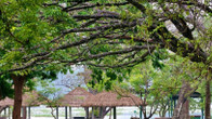 Habarana Village by Cinnamon, фото 4