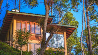 Отель The Tea Cottage Resort & Spa