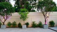 Tranquil Negombo Boutique, фото 2