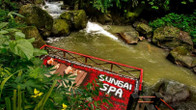 Nandini Jungle Resort & Spa Bali - CHSE Certified, фото 3