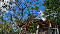 Villa Khadine Grandvista Resort, фото 2