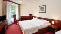 Wellness hotel Svornost, фото 2