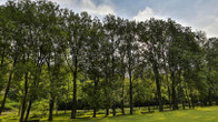 Lovecký Zámeček, фото 8