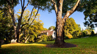 Mayflower Inn & Spa, Auberge Resorts Collection, фото 2