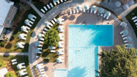 Flamingo Resort