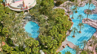 Flamingo Las Vegas Hotel & Casino, фото 3