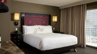 Hotel Zaza Houston Museum District, фото 2