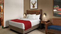 Great Wolf Lodge Grapevine, фото 2