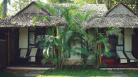 Les 3 Elephants