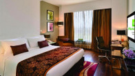 Holiday Inn Chandigarh Panchkula, an IHG Hotel, фото 4