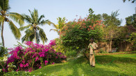 Somatheeram Ayurveda Village