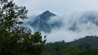 Vythiri Holiday Resorts, фото 2
