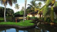 Abad Whispering Palms