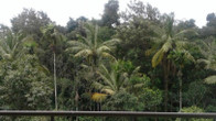 Spice Grove, фото 4