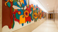 CJ Pallazzio, фото 4