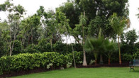 Nidhivan Sarovar Portico, фото 2