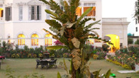 Hotel Surya, фото 2