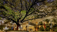 ITC Windsor, A Luxury Collection Hotel, Bengaluru, фото 2