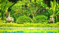 Ladear Angkor Boutique Hotel, фото 4