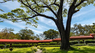 Hotel Hacienda Guachipelin, фото 3