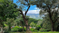 Hotel Hacienda Guachipelin, фото 4