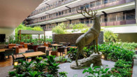 The Westin Doha Hotel & Spa, фото 7