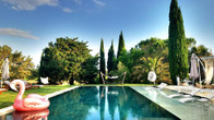 Dojo Bianco, фото 3
