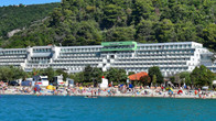 Hotel Hedera, фото 4