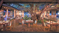 Alila Diwa Goa - A Hyatt Brand, фото 3