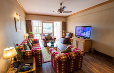 Одноместный люкс Executive