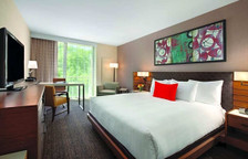 Двухместный номер Pure Hypoallergenic Room