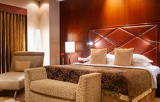 Одноместный люкс Presidential c 1 комнатой с видом на сад