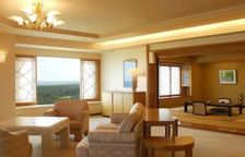 Одноместный клубный люкс Royal