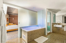 Одноместный люкс Presidential