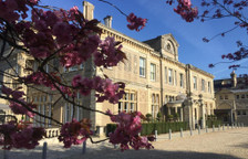 Одноместный номер Standard